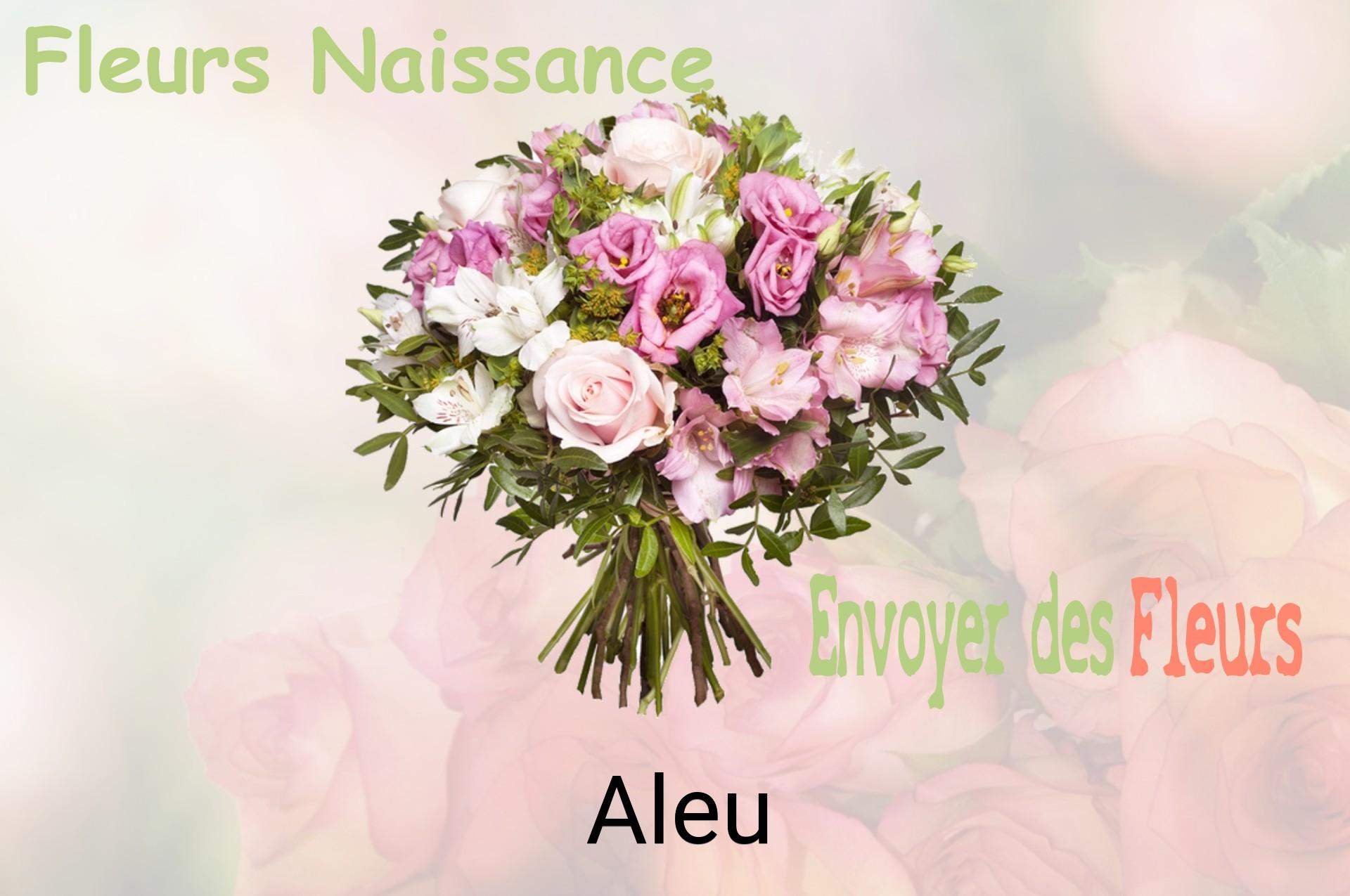 Bouquet de fleurs de naissance livré à Aleu