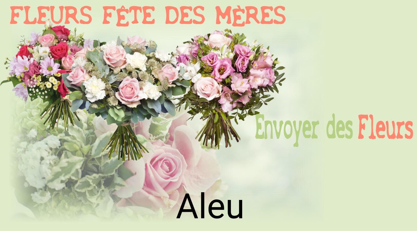 Bouquet de Fête des Mères livré à Aleu